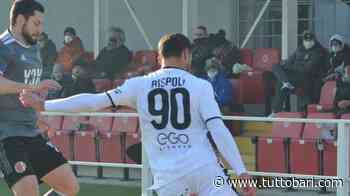 Parma, Rispoli: "Serie B? L'anno prossimo sarà più difficile" - BARI CALCIO