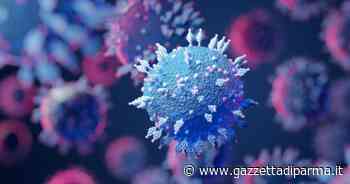 Omicron, BA.5 più contagiosa delle sue sorelle - Gazzetta di Parma