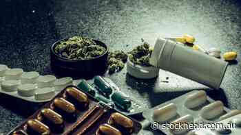 Could Aussie cannabinoid companies help solve a global opioid crisis? - Stockhead
