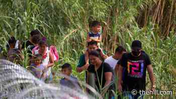 Even the National Guard won’t be enough to solve border crisis when Title 42 ends - The Hill