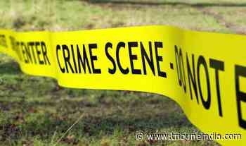 Cops solve hit-and-run case in nine hours - The Tribune India