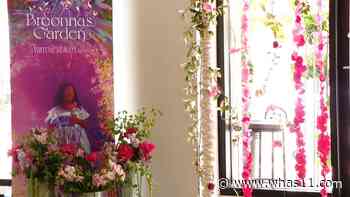 Virtual reality exhibit highlights life of Breonna Taylor - WHAS11.com