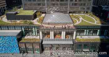 Willis Tower Chicago street-level renovation architecture review - Crain's Chicago Business