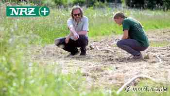 Rees: Am Wahrsmannshof gibt es nun einen Gemeinschaftsgarten - NRZ News