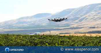 Drones minúsculos contra pájaros: la lucha por mantener las plantaciones libres de picotazos - EL ESPAÑOL