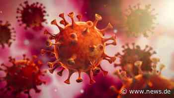 Corona-Zahlen + Regeln im Landkreis Calw aktuell: Sinkende Neuinfektionen! Die Coronavirus-Lage heute am 07.06.2022 - news.de