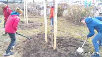 Klimaschutz: Deswegen pflanzen Jugendliche der Stephanskirche Bäume in ganz Schenefeld - shz.de