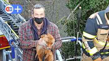 Feuerwehr Schenefeld rettet Fuchs vom Vordach eines Einkaufszentrums - Kieler Nachrichten