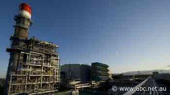 Energy giants ramp up gas-fired Tallawarra and lay the slab for hydrogen as Forrest's floating LNG takes shape