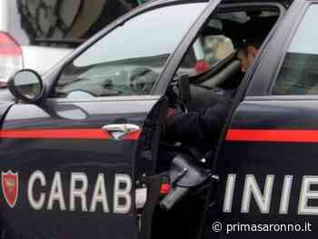 Spari e sangue nei boschi tra Cerro e Uboldo - Prima Saronno