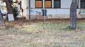 Anche in viale Trieste vogliamo un selfie degli amministratori - Termoli Online