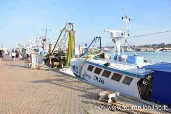 Cassa integrazione sulla pesca, avviato confronto al Mipaaf - Termoli Online
