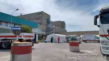 Termoli: Le operazioni di smontaggio dell'Hospitainer - Termoli Online