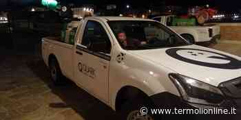 Nuovo intervento di disinfestazione sull'intero territorio comunale - Termoli Online