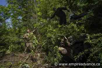 AP Exclusive: Russia begins returning bodies from steel mill - Virden Empire Advance