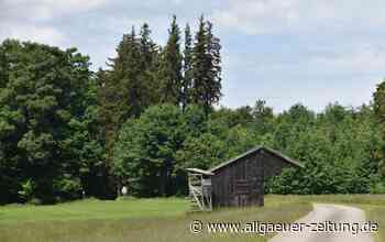Erneuerbare Energie in Lachen: Bürger sollen sich an Bau von Windrad beteiligen - Allgäuer Zeitung