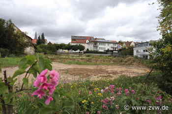 Dramatische Kita-Situation in Remshalden: Bau in der Lilienstraße liegt auf Eis - Zeitungsverlag Waiblingen