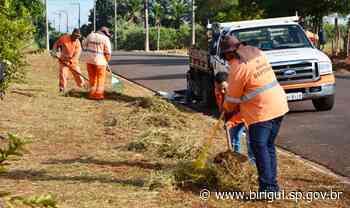 Prefeitura de Birigui realiza força-tarefa de limpeza nos bairros Birigui 1 e Residencial Ipê - Prefeitura de Birigui (.gov)