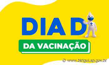 Unidades de Saúde de Birigui abrem neste sábado (30) para vacinar contra gripe e sarampo - Prefeitura de Birigui (.gov)