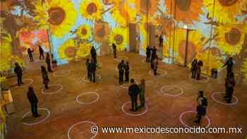 ¡Llega Van Gogh a Monterrey! Una experiencia inolvidable - México Desconocido