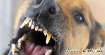 Ansbach: Mann vor Kneipe in den 'Allerwertesten' gebissen - nach Hundeangriff im Krankenhaus - inFranken.de