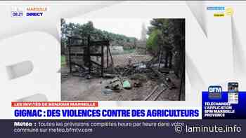 Violences paysannes à Gignac-la-Nerthe: des agriculteurs racontent les conséquences pour leur production - laminute.info