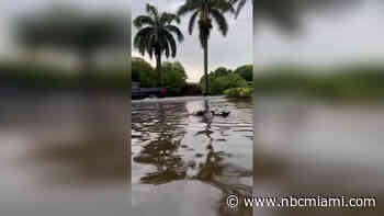 Flooding Woes Continue After Storms in SW Miami-Dade