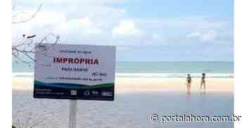 BALNEABILIDADE: Confira a situação das praias e lagoas de Imbituba, Garopaba, Laguna e Jaguaruna; um dos municípios está com ponto poluído - Portal AHora