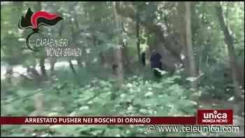 Preso pusher nei boschi di Ornago - Unica TV