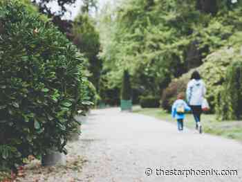 Young Innovators: Social program investments affect disease incidence rates: U of S research