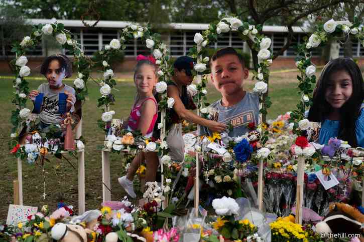 DHS terror bulletin paints bleak picture following mass shootings