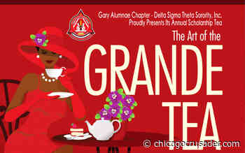 Delta Sigma Theta Sorority to host annual community art fundraiser - The Chicago Cusader