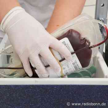 DRK ruft zum Blutspenden auf - Radio Bonn / Rhein-Sieg - radiobonn.de