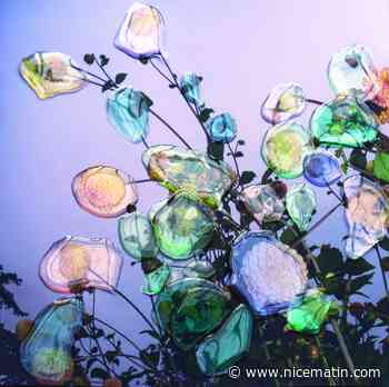 Biennale des arts: 11 expositions à découvrir jusqu'à la fin de l'année à Nice