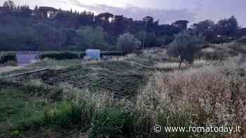 Prima Porta, sporcizia e bivacchi nel parco di Villa di Livia