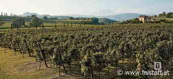 Tinazzi (R)evolution: Bio im Vormarsch