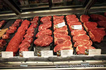 FAO Food Price Index falls but remains high