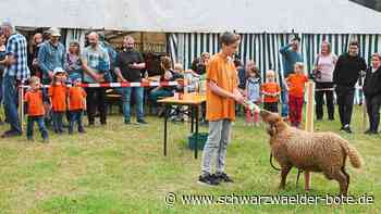 Waldfest in Tennenbronn - Die Hardter räumen beim Bachfest groß ab - Schwarzwälder Bote