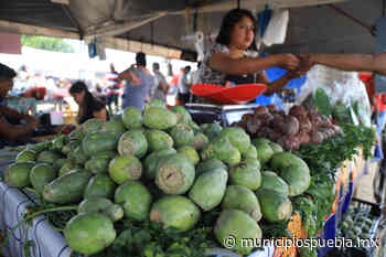 Realizan Feria del Nopal en San Bernardino Tlaxcalancingo - Municipios Puebla