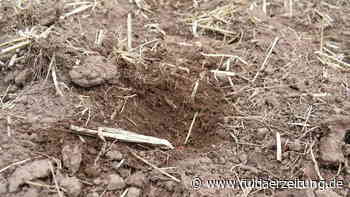 Fulda: Zu wenig Regen - Forst und Landwirtschaft leiden unter Trockenheit - Fuldaer Zeitung