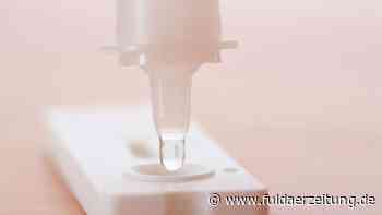 Corona in Fulda: RKI meldet am Samstag 133 Neuinfektionen - Fuldaer Zeitung