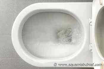 BC strata insurance deductible payable after toilet overflow - Squamish Chief