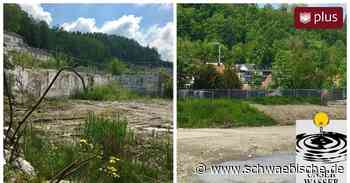 Ravensburg: Hochwasserschutz auf Rinker-Areal ist komplex - Schwäbische