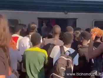 La barbarie nordafricana sul Lago di Garda. Silvia Scurati: “Aggressioni e violenze frutto di mancati controlli e immigrazione senza regole" - Ticino Notizie