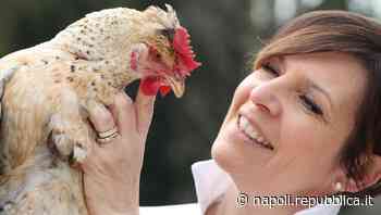 The garda EGG co, biologiche e di tutti i colori: le uova delle galline felici - La Repubblica