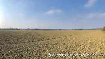 Acqua dal Garda per innalzare il Po, «Si rischia lo stop alle irrigazioni»: altolà di tre Consorzi di Bonifica mantovani - La Gazzetta di Mantova