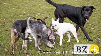 Neue Packstationen in Lebenstedt