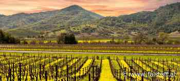 Bond aus Napa Valley zu Besuch in Wien