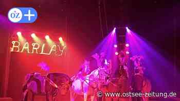 Circus Barlay in Stralsund: Preise, Termine und was geboten wird - Ostsee Zeitung
