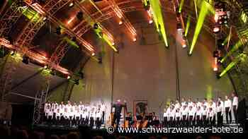 Calwer Klostersommer: Regionaler Act: Sängerknaben sind wieder dabei